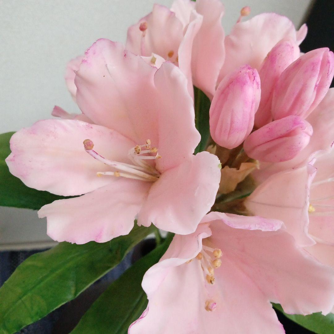 花器付き ピンク石楠花 クレイフラワー