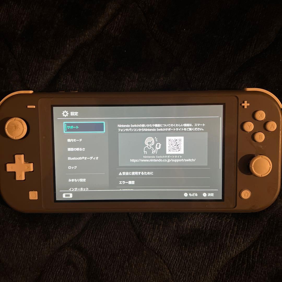 【ジャンク】Nintendo Switch Lite 本体&専用充電器