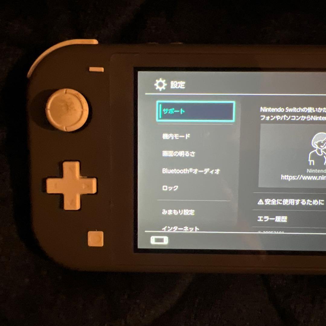【ジャンク】Nintendo Switch Lite 本体&専用充電器