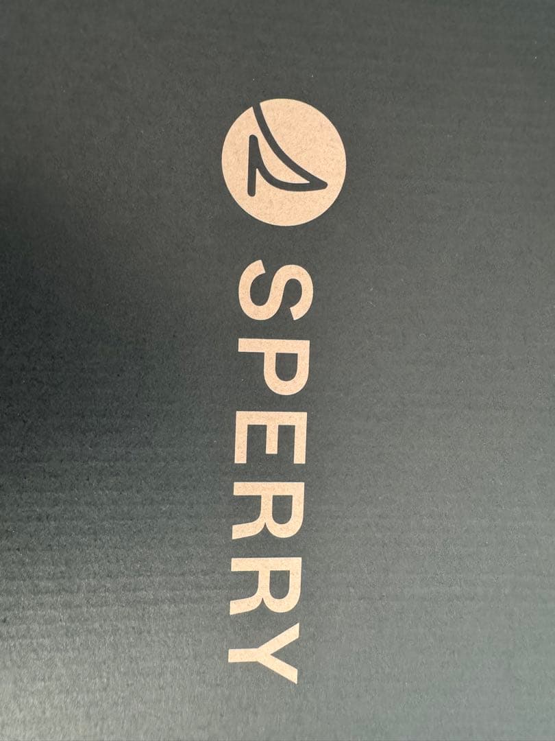 Sperry 靴レザー