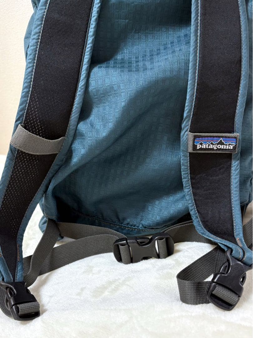 Patagonia パタゴニア　ライトウェイト トラベルダッフル 35L