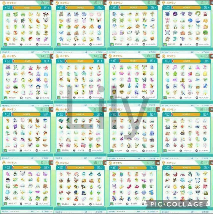 【ポケモン】ウルトラムーン ケースなし各種配信 メタモン 道具完備