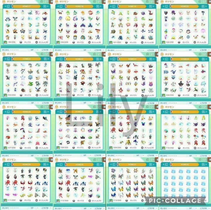 【ポケモン】ウルトラムーン ケースなし各種配信 メタモン 道具完備