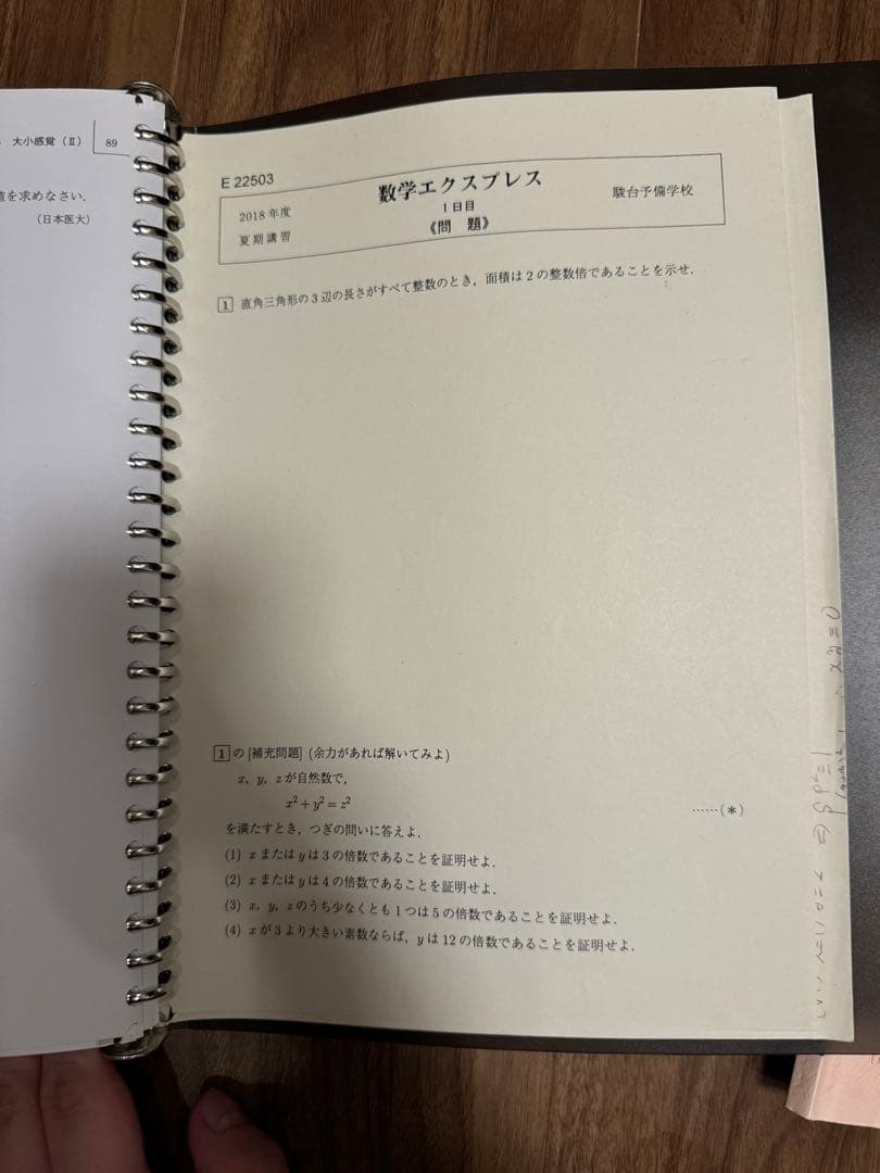 駿台　盲点B 数学エクスプレス　盲点完成編　2018年度　テキスト板書配布物