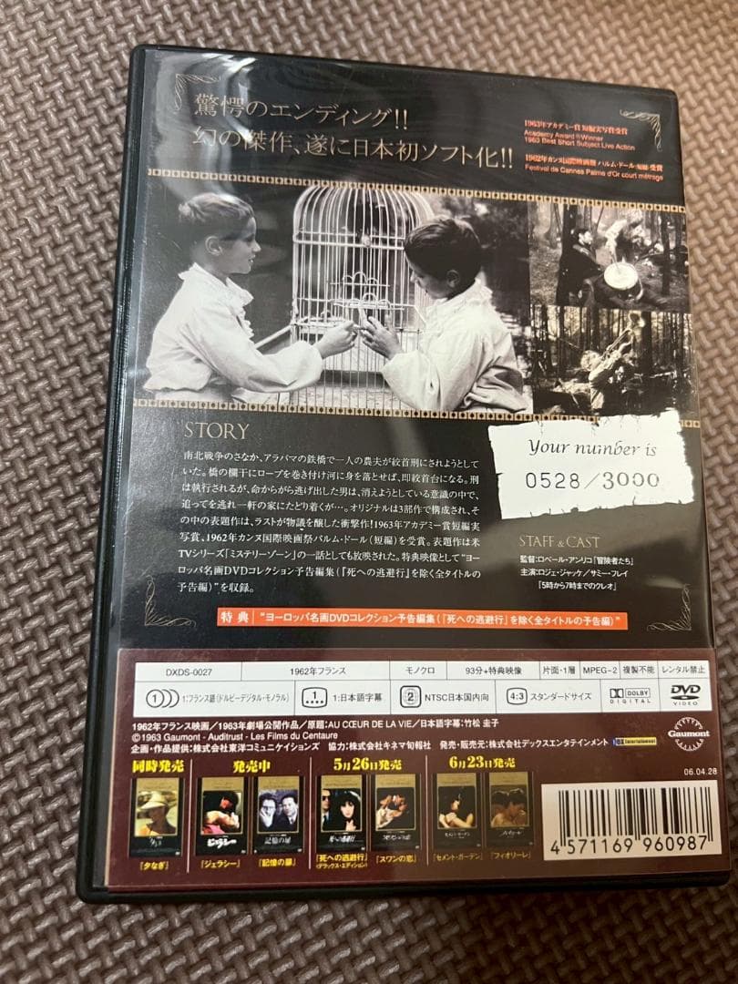 レア　DVD　ふくろうの河　DXDS-0027 4571169960987