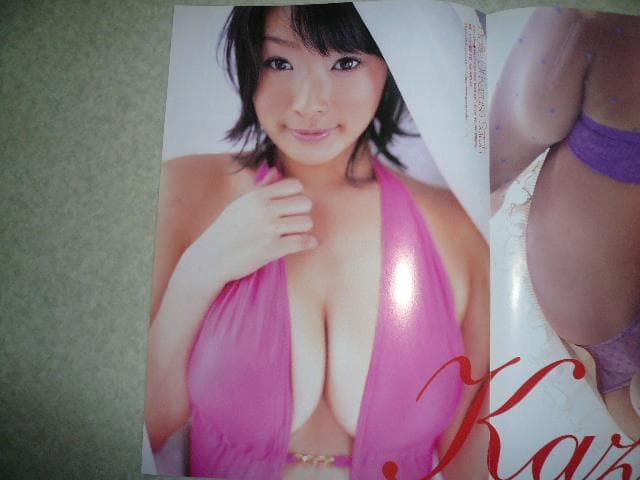 貴重！女子アナ経歴A44面つづり冊子 平井理央 青木裕子 鈴江奈々 裏面佐藤和沙