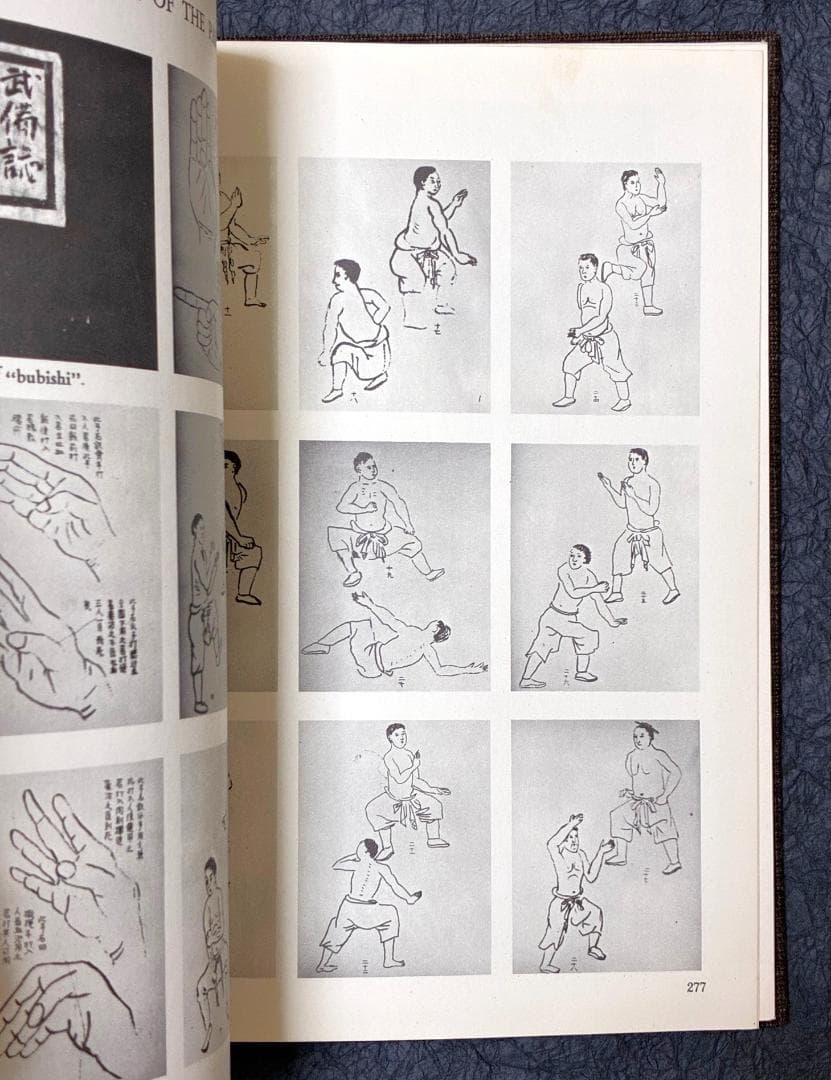 KARATE GOJU-RYU BY THE CAT 空手道剛柔流