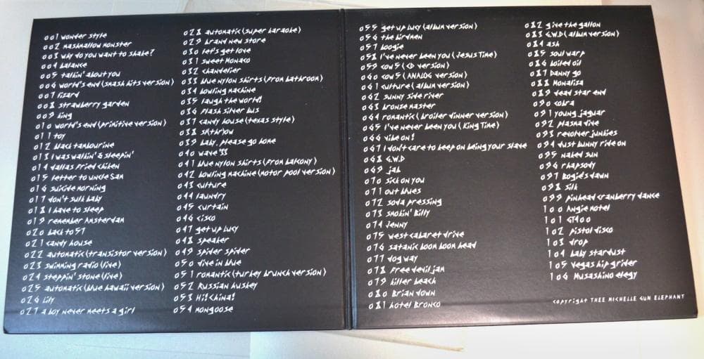 ミッシェルガンエレファント TMGE106 アナログ盤12インチレコード