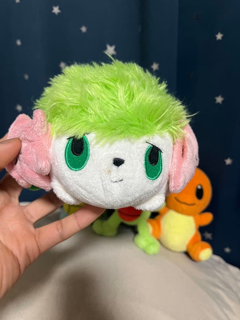 ポケモンぬいぐるみ　ポケドール　4セット