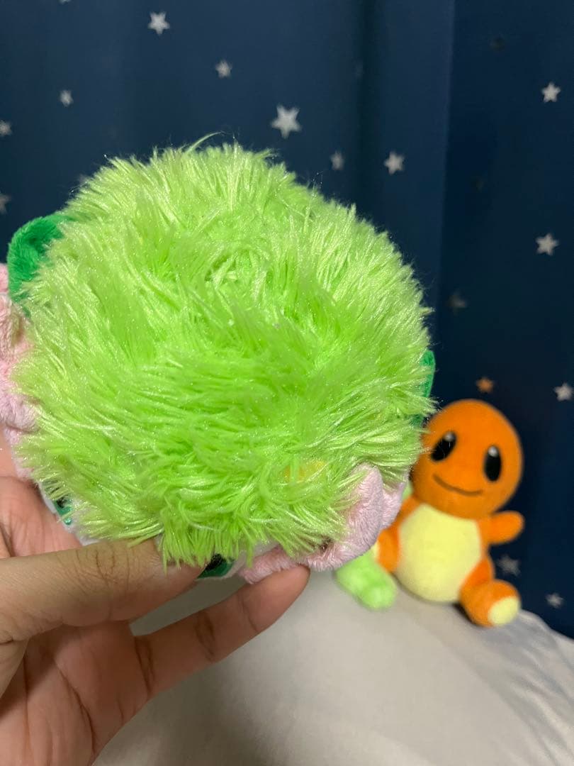 ポケモンぬいぐるみ　ポケドール　4セット