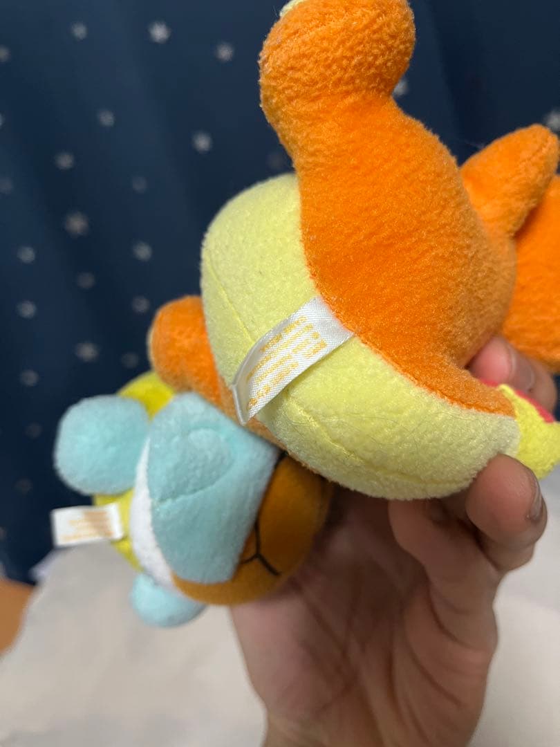 ポケモンぬいぐるみ　ポケドール　4セット