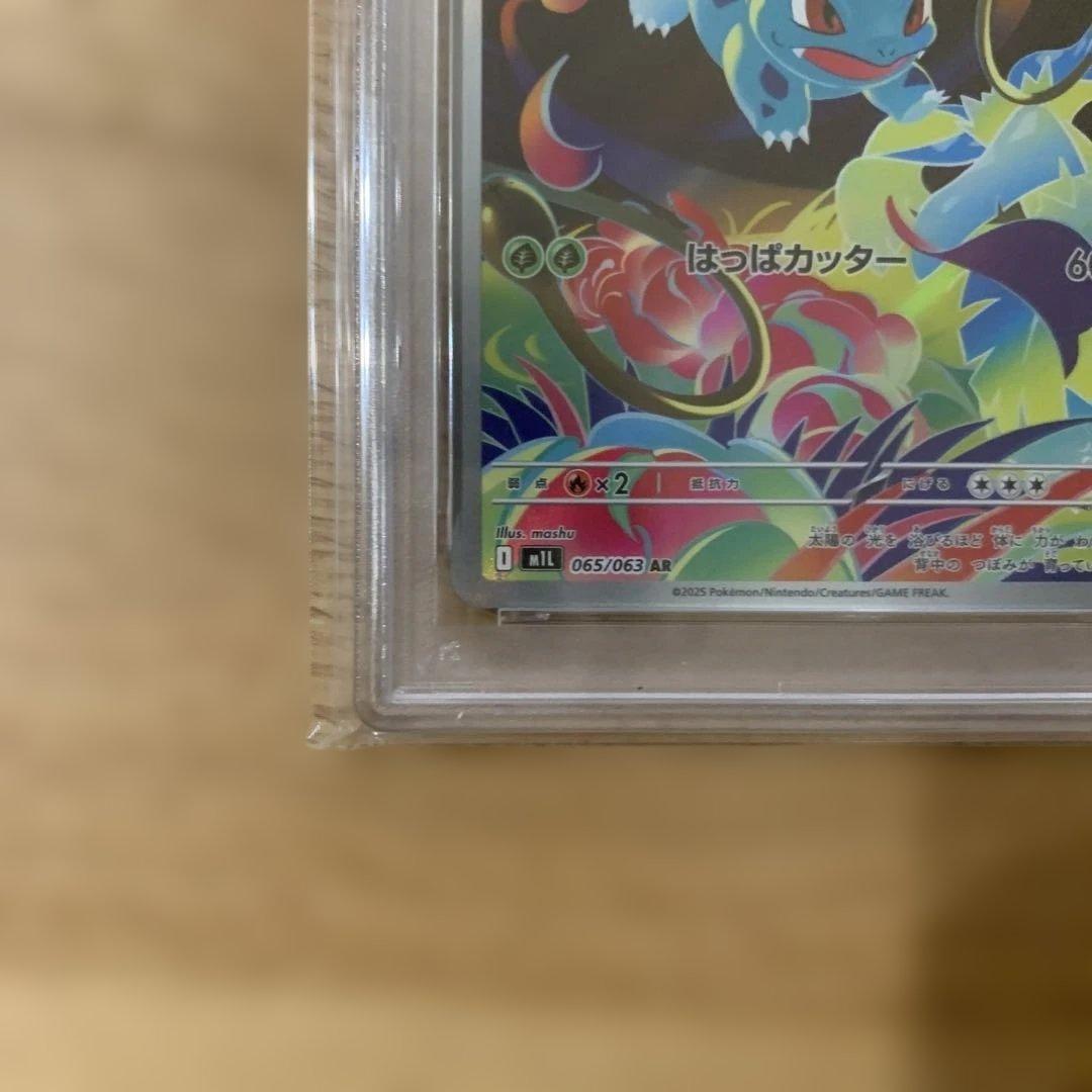 【PSA10】フシギソウ AR