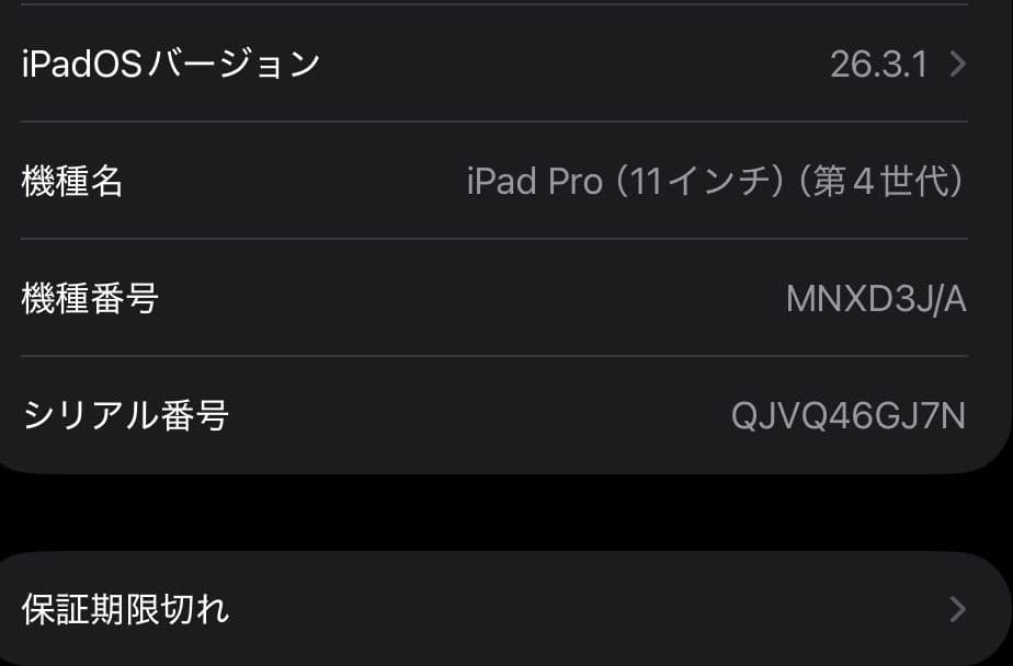 【美品】 Apple iPad Pro 11インチ M2チップ 第4世代