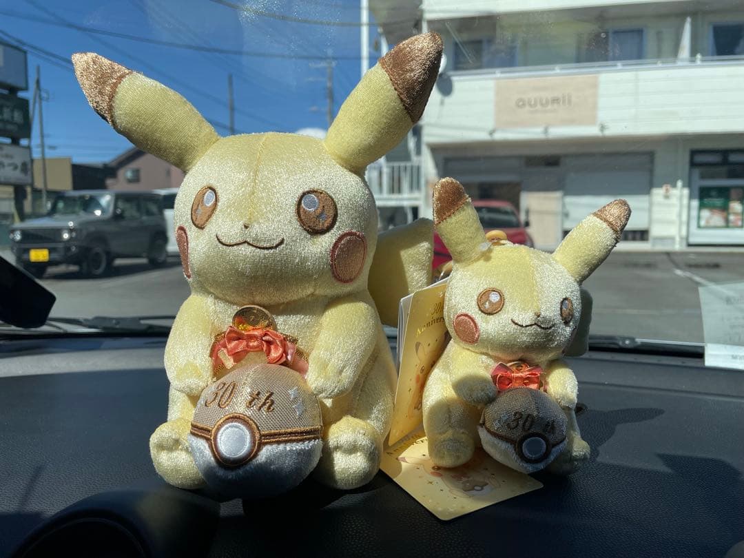 ピカチュウ ぬいぐるみとマスコットセット