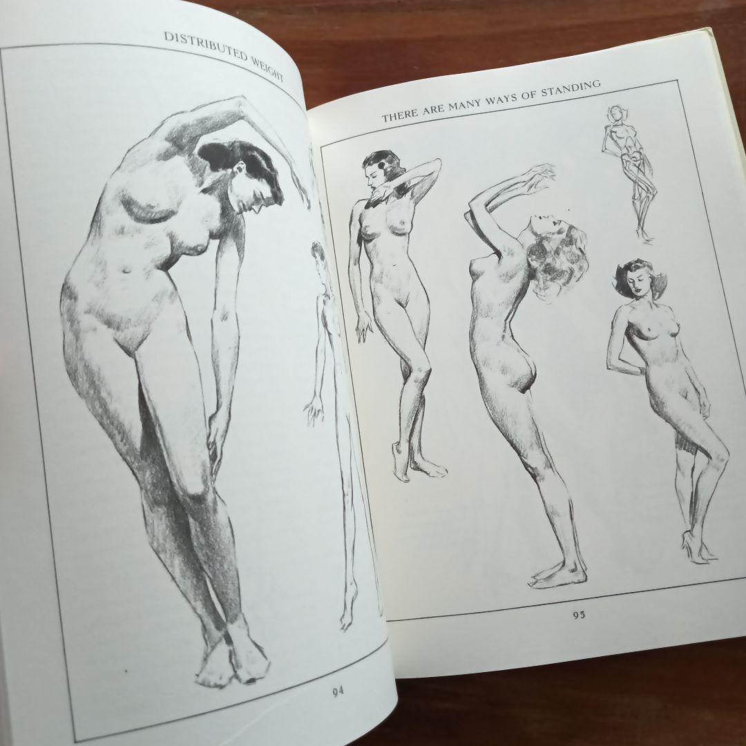 Figure Drawing 　美術　解剖図　遠近法　ドローイング　イラスト