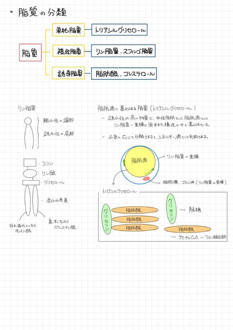 エッセンシャル細胞生物学 自作問題集
