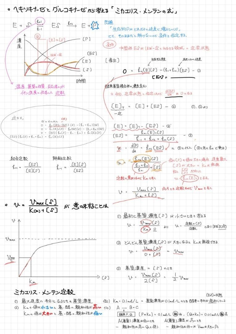 エッセンシャル細胞生物学 自作問題集