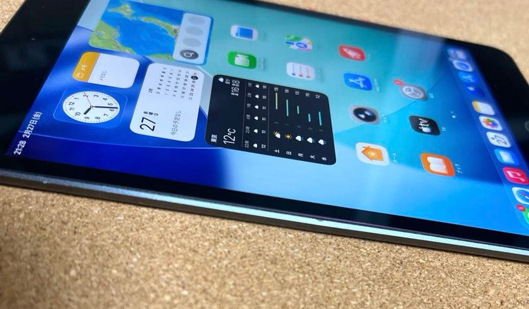 iPad mini5 第5世代 64GB (30)