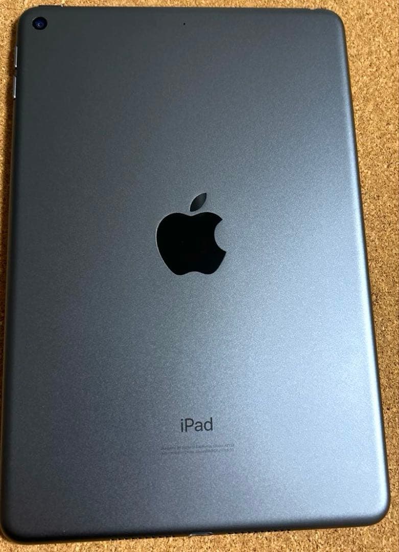 iPad mini5 第5世代 64GB (30)