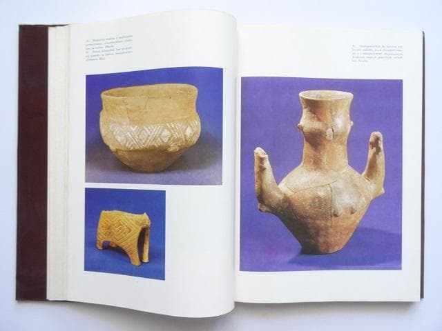 洋書◆スロバキアの先史時代の芸術作品写真集 本 陶磁器 金細工 ほか