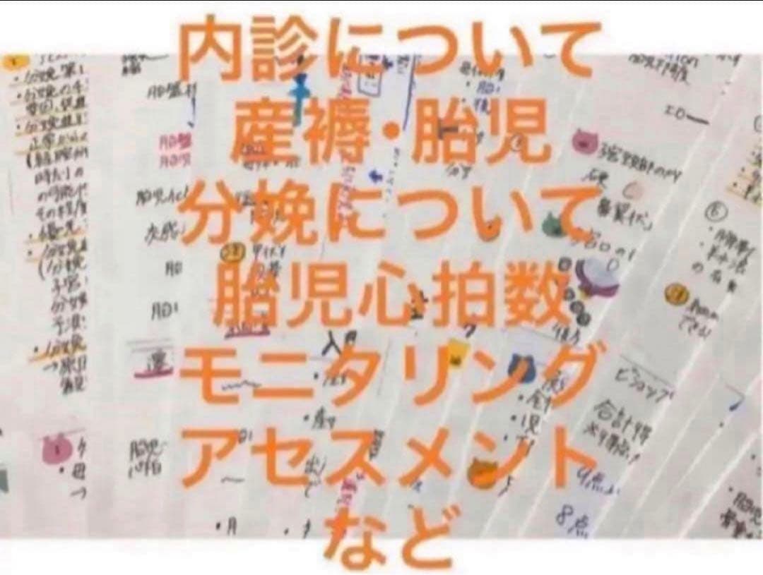 助産師・助産学生実習セット ポケットサイズ　まとめ売り　看護師看護学生　国家試験