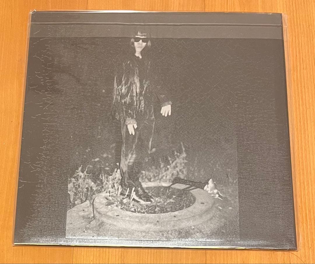 灰野敬二　わたしだけ？　リイシュー盤 レコード LP