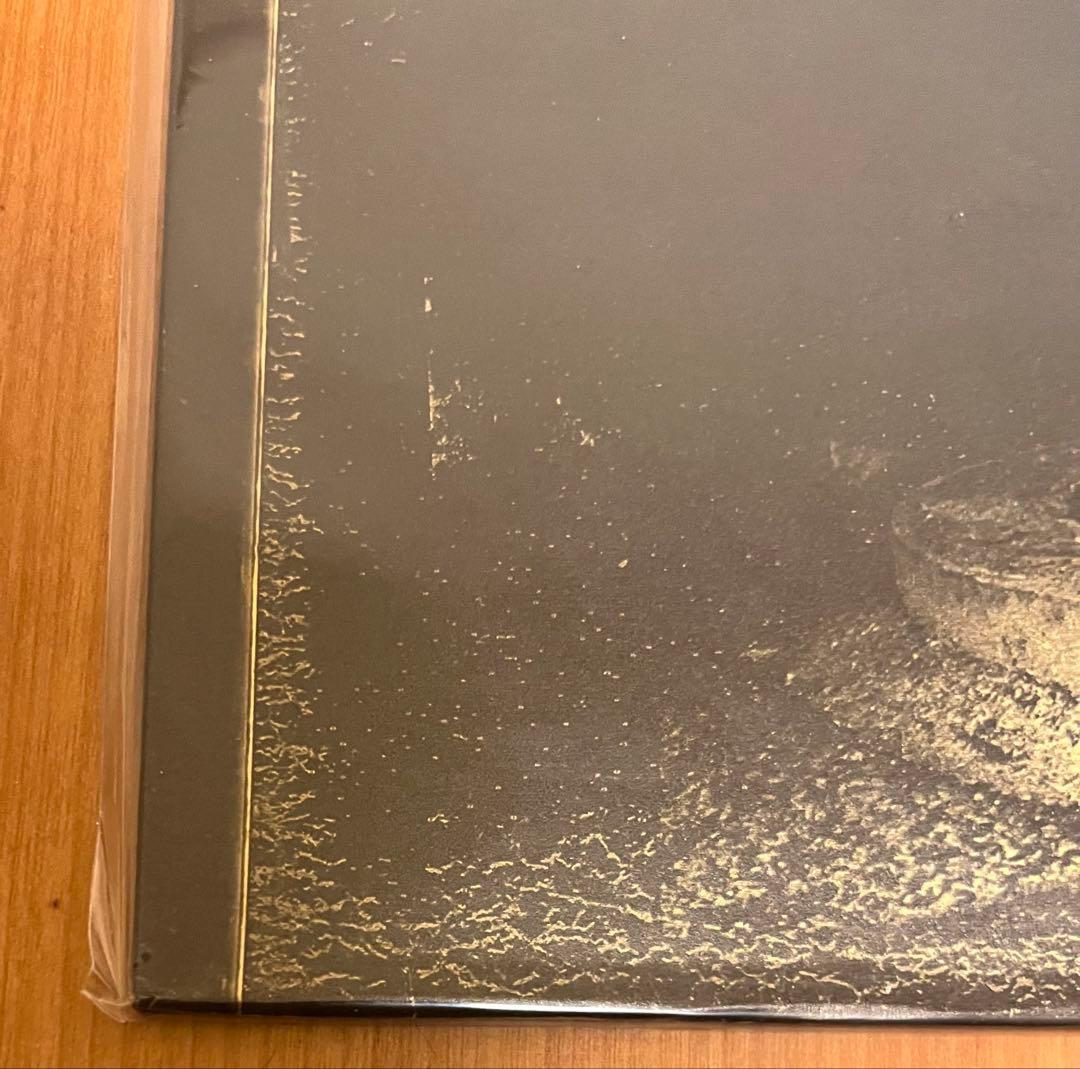 灰野敬二　わたしだけ？　リイシュー盤 レコード LP