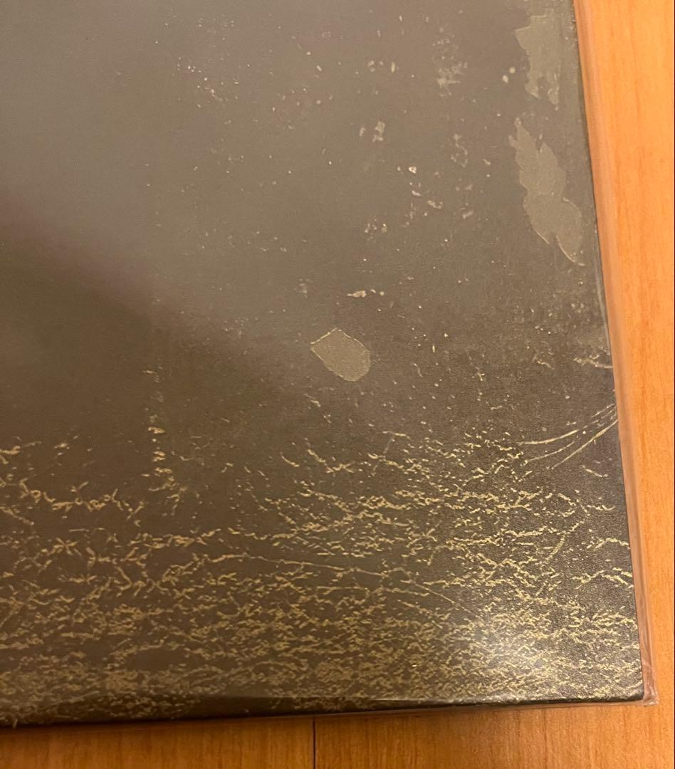 灰野敬二　わたしだけ？　リイシュー盤 レコード LP