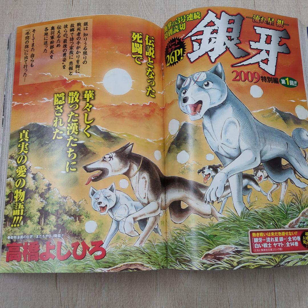 ビジネスジャンプ2009.8号　銀牙／高橋よしひろ