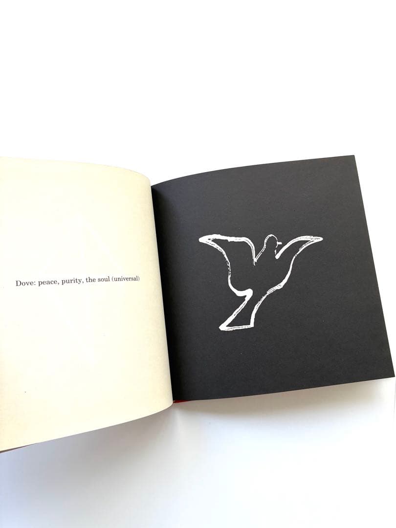 洋書「 book of symbols for children」