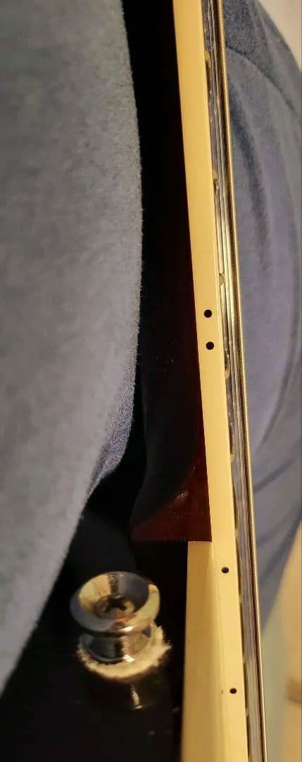 ギター Taylor guiter T5
