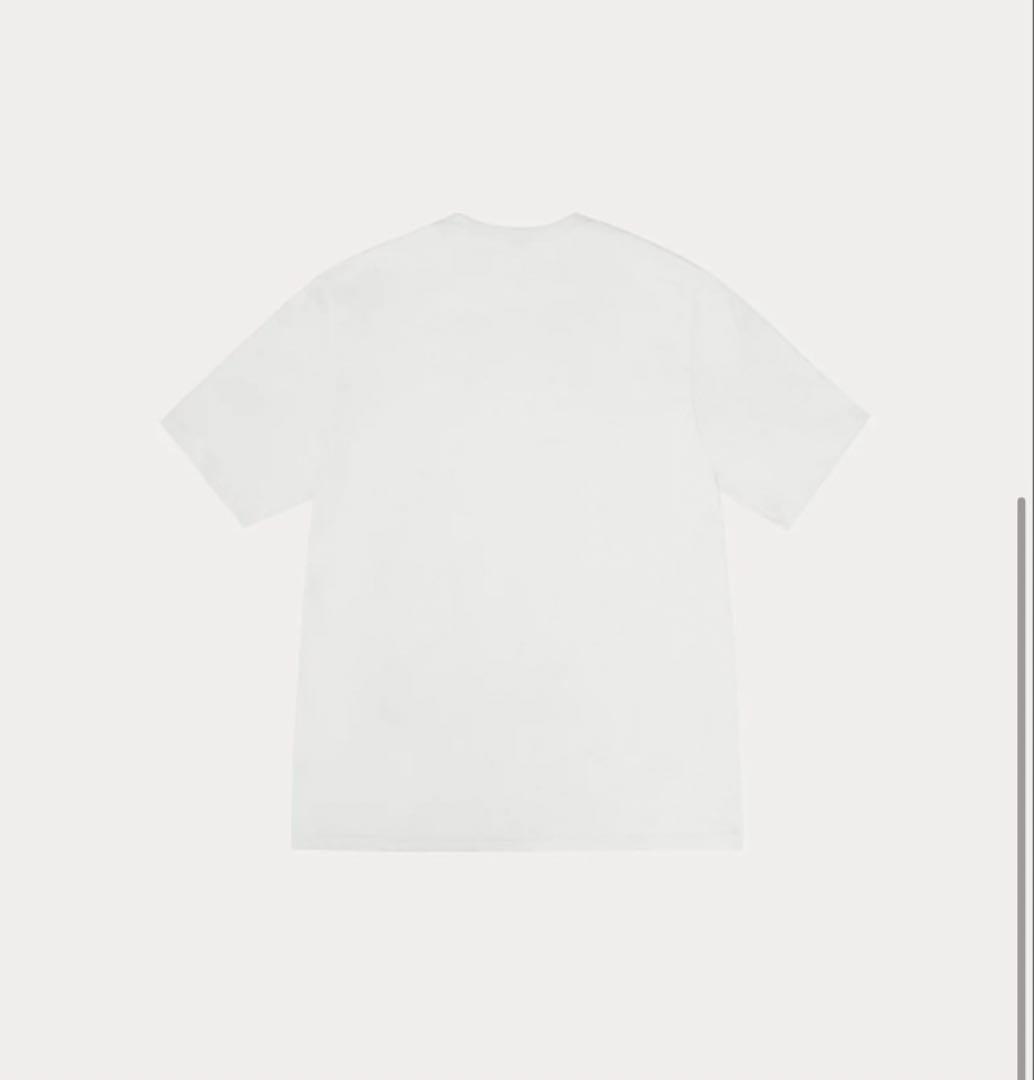 ローAUTHENTIC GEAR TEE PIGMENT DYED