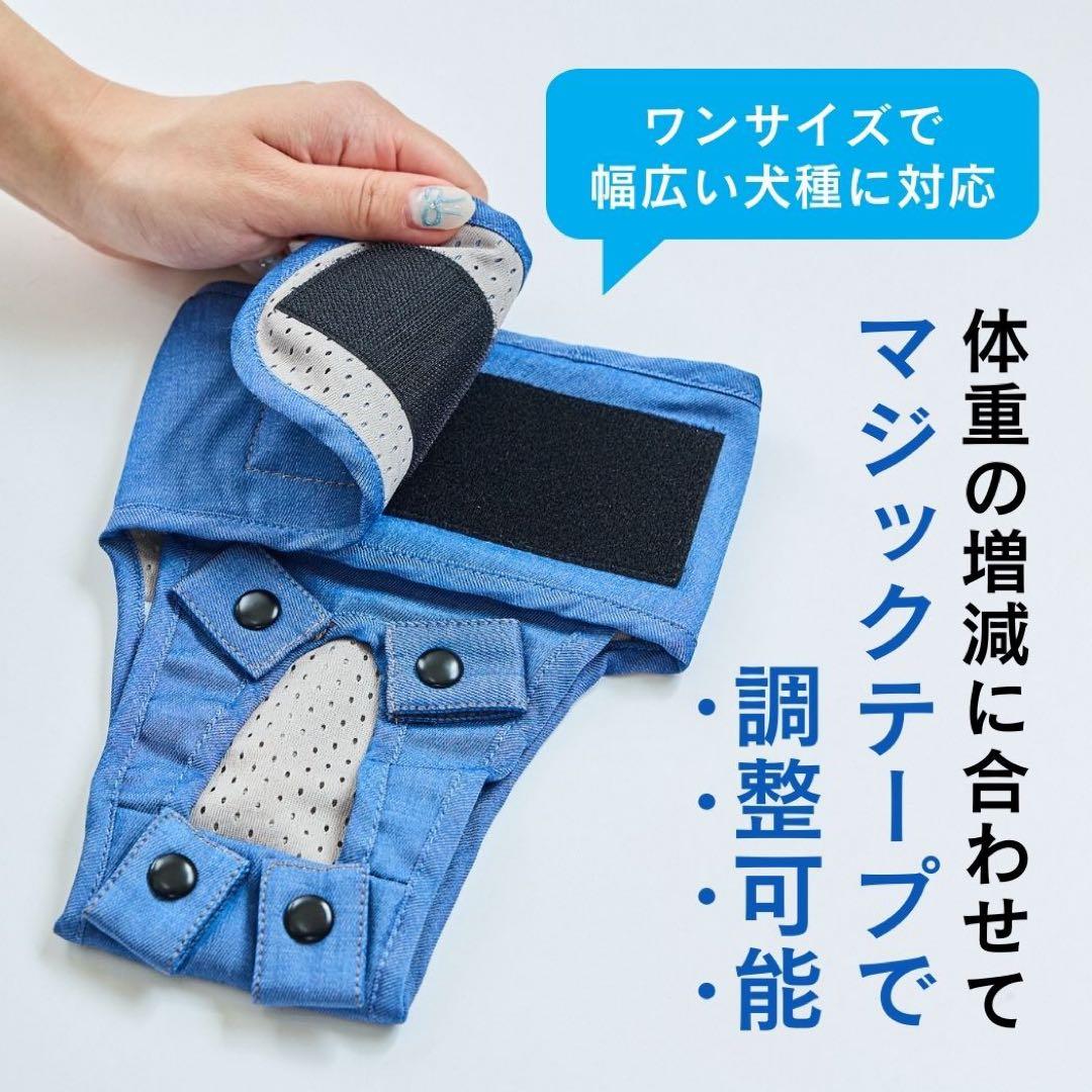 うんころキャッチ　S シニア犬　新品