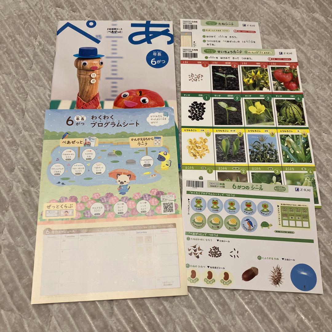 Z会　ペアゼット　年中1〜3月　年長1年分