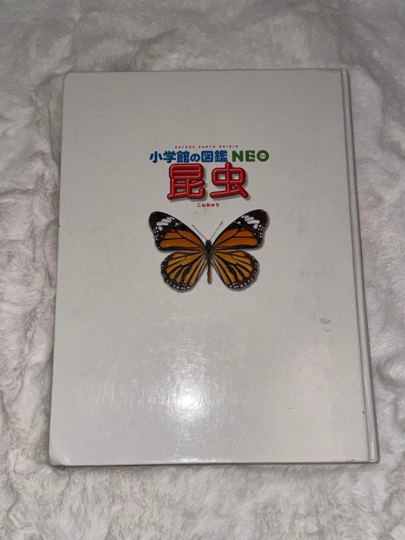 小学館の図鑑NEO 全10巻セット ぷらすくらべる図鑑、もっとくらべる図鑑