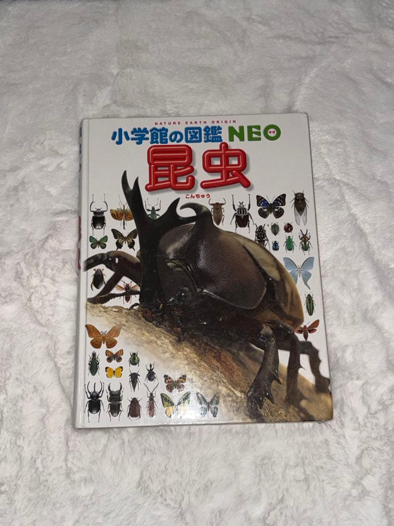 小学館の図鑑NEO 全10巻セット ぷらすくらべる図鑑、もっとくらべる図鑑
