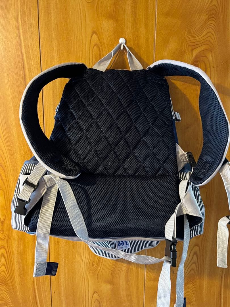 Leeヒッコリー柄ハグ&リュックキャリーバッグ　小型犬用