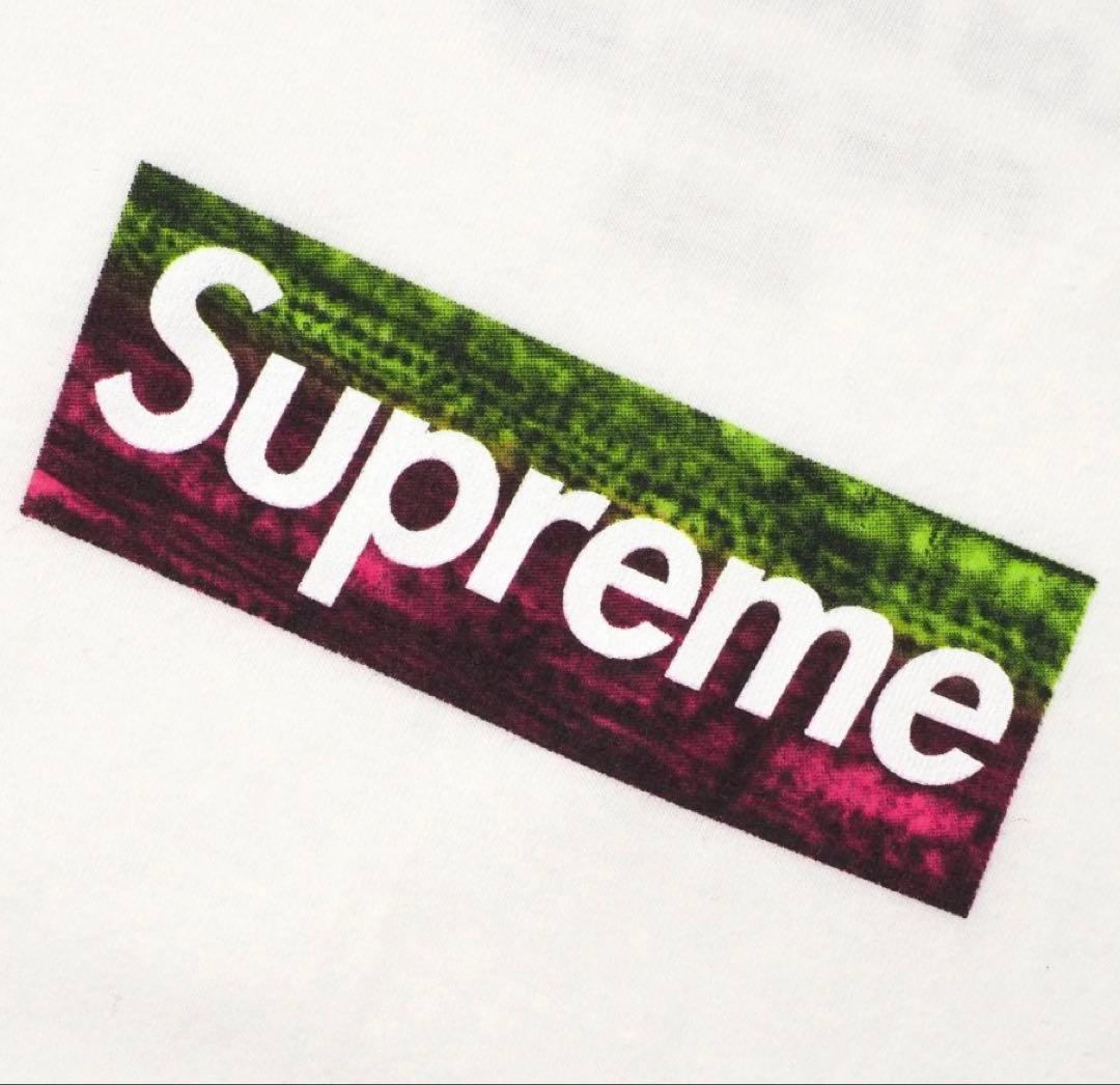 Supreme×Los Angeles Fire Relief ボックスロゴt