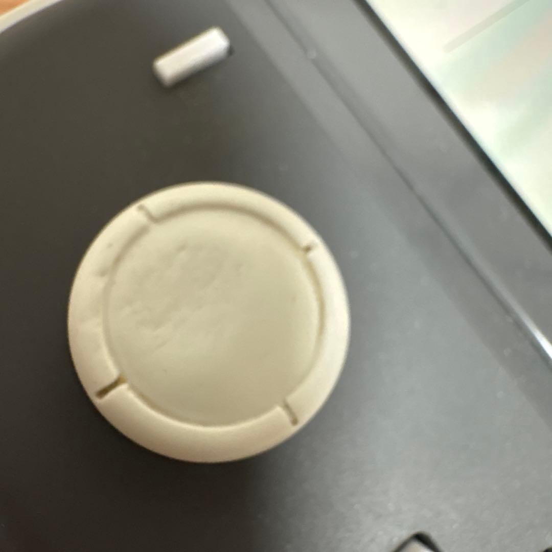 Switch Lite グレー
