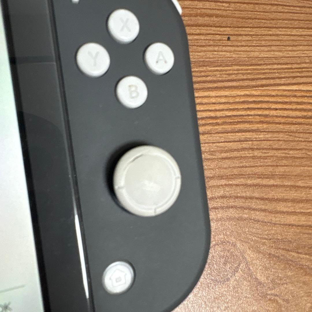 Switch Lite グレー