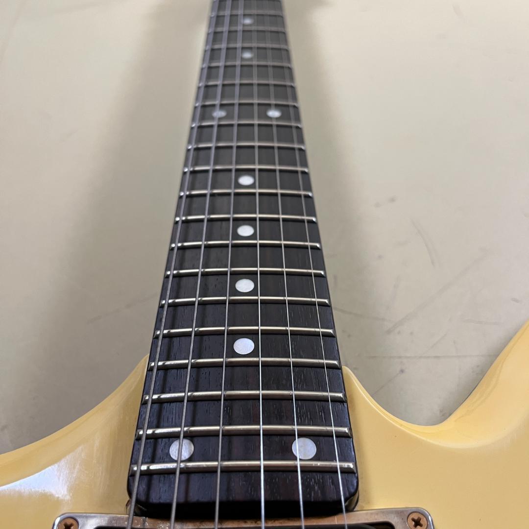Aria Pro Ⅱ ZZ Custom 1984年製 Black White