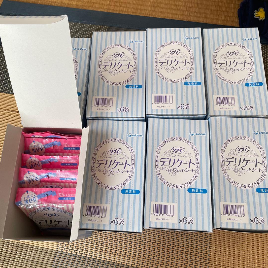 『専用』 【48個セット】12枚入✖️2個　デリケート ウェットシート 無香料