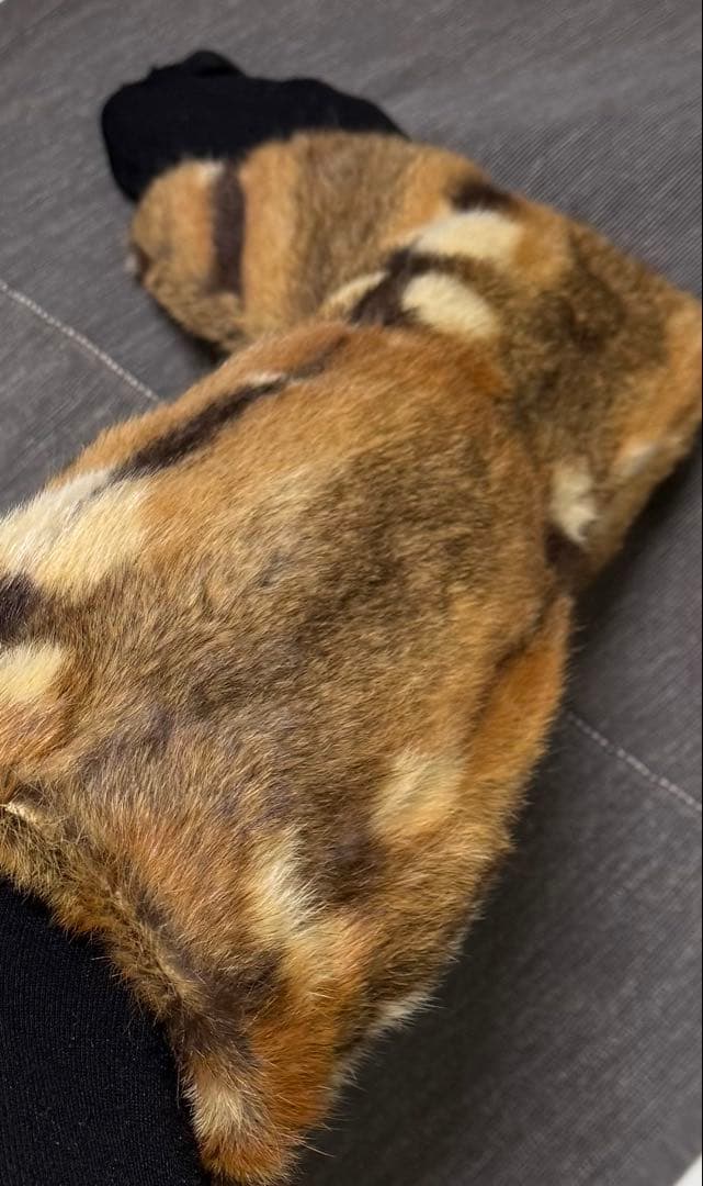 リスのブーツカバー