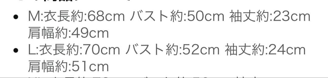 Chrome Hearts ホワイト Tシャツ Lサイズ