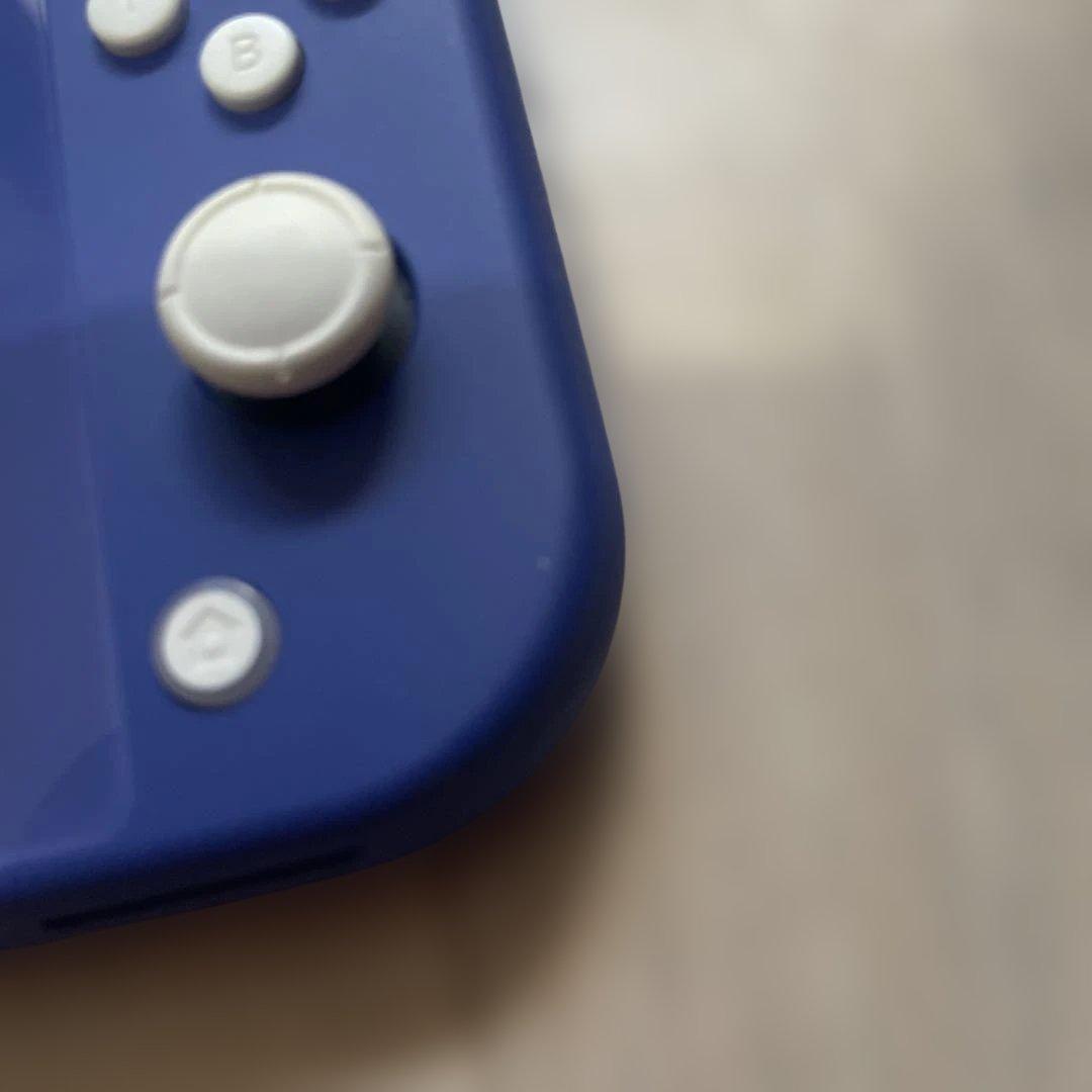 【ぴんちょす】Nintendo Switch Lite 本体