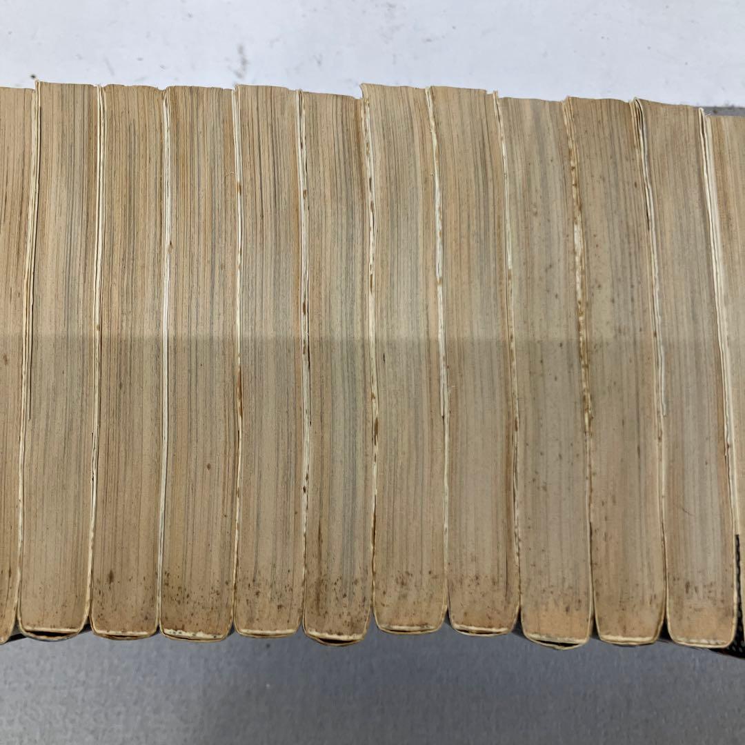 GAK130 カメレオン 全47巻