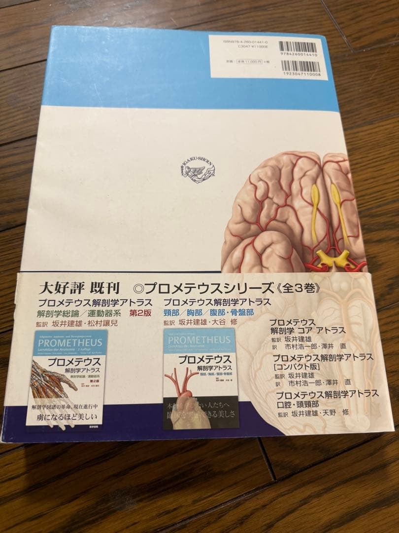 プロメテウス解剖学アトラス　頭頸部　神経解剖　第2版　解剖学　解剖書　医学書