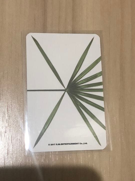 シウミン xiumin exo トレカ