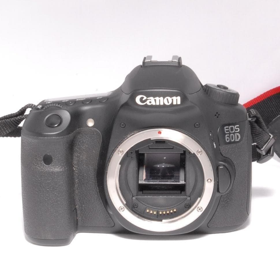 ショット数少ない美品⭐️ハイアマチュアモデル⭐️Canon EOS 60D