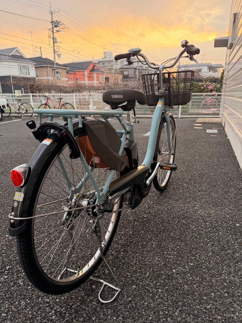 Roll Dem Bones 電動アシスト自転車　ヤマハ pas with